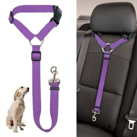 Two-in-one Pet Car Seatbelt and Leash