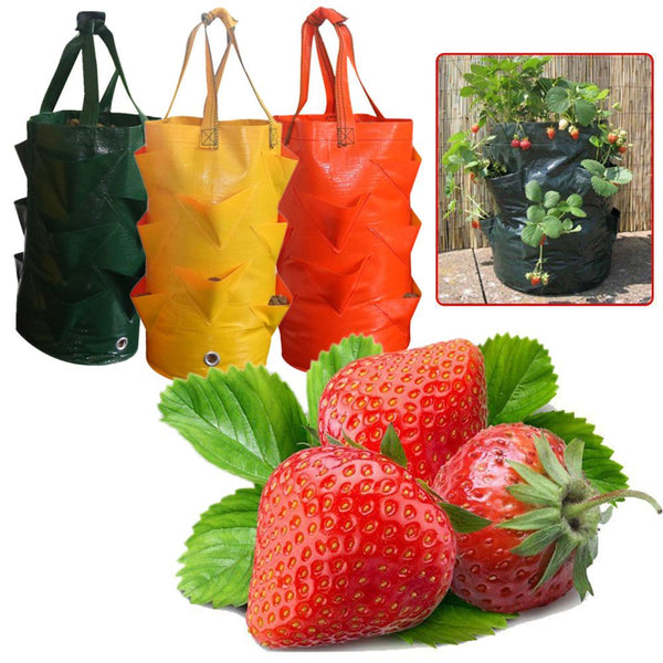 Strawberry Plant Growing Bag - Little Home Hacks