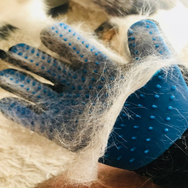 Pet Grooming Gloves